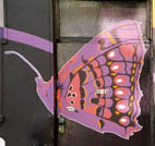 benna's picture