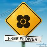 Free Flower's picture Free Flower's picture