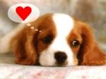 messengelo's picture