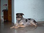 rocco75's picture