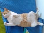 Raffy's picture