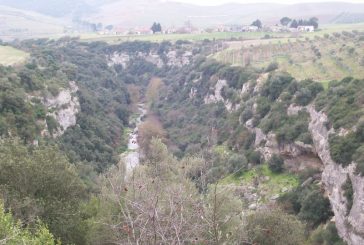 gravina.jpg