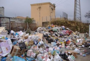 I Verdi chiedono le dimissioni dell’ass. Quarato