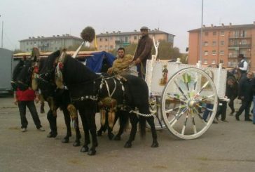 Montescaglioso alla fiera del cavallo a Verona