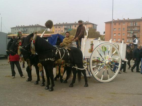 Montescaglioso alla fiera del cavallo a Verona