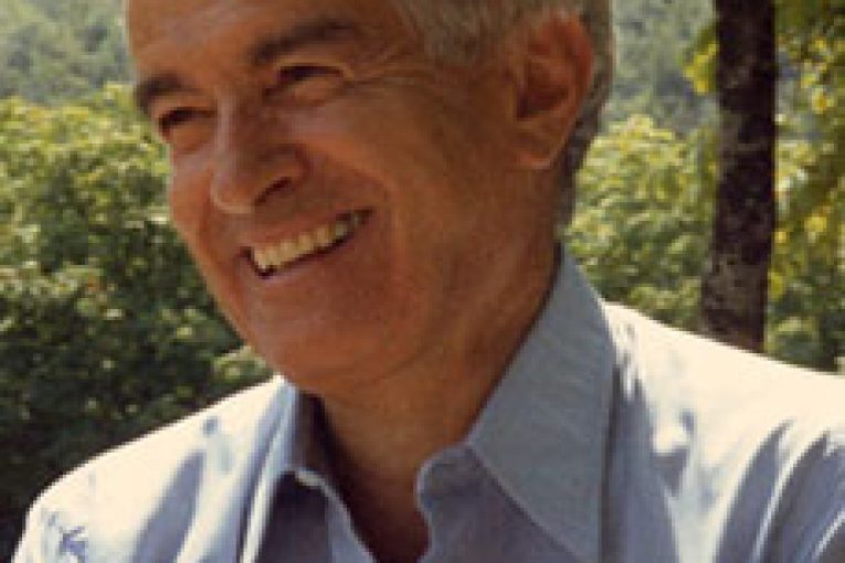 Gerardo Guerrieri, o della leggerezza