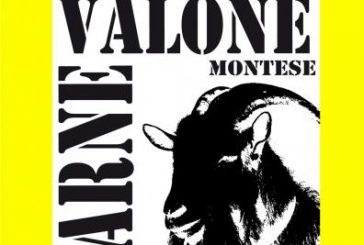 Treenet al Lucania film festival