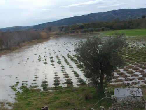 Golena di Cannezzano: esondazione 2006