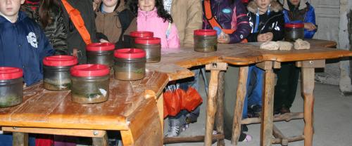 Percorisi didattici.