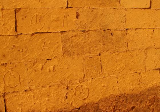 Stemmi incisi nella volta della neviera