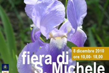 Vino e Fiera.