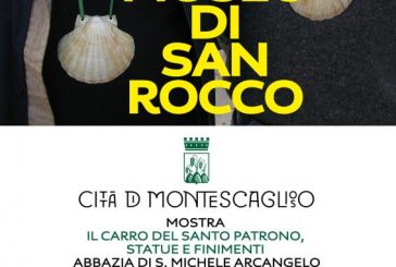 Per un Museo di S. Rocco.