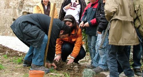 Il giardino delle officinali