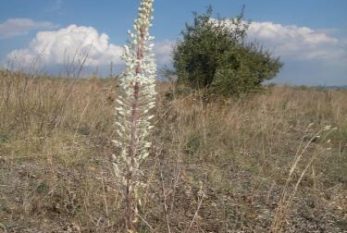 Il Parco della Murgia Materana