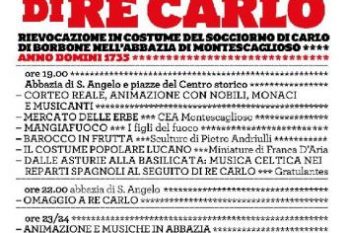 Cavalcata del Borbone 2008: RINVIATA.
