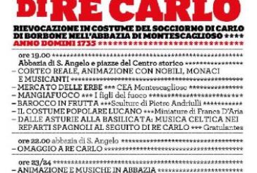 Cavalcata del Borbone 2008: RINVIATA.