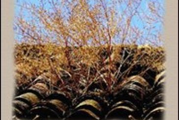 “Partire con un treno…tornare con Facebook” – Serata di beneficenza