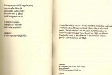 “un riverbero freddo” Fausto Maria Pico