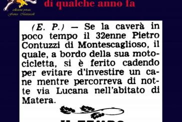 7 MAGGIO: CAVE CANEM