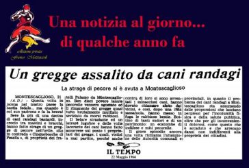 22 MAGGIO: RANDAGISMO