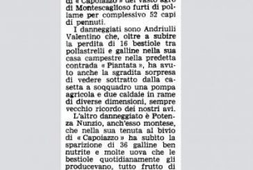 26 APRILE: LADRI DI POLLI