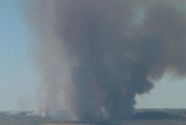 Incendio Parco Regionale della Murgia Materana.