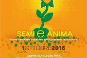 Semina e Anima