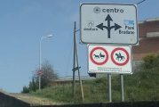 Plauso al Sindaco e all’Amministrazione per la regolamentazione dei Cavalli