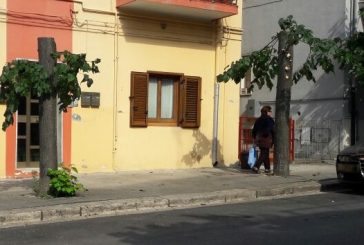 Montescaglioso, capitozzatura sconsiderata