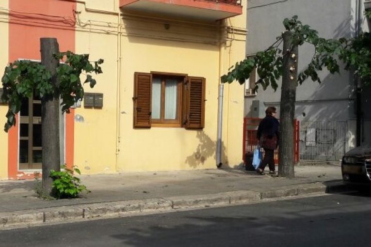 Montescaglioso, capitozzatura sconsiderata