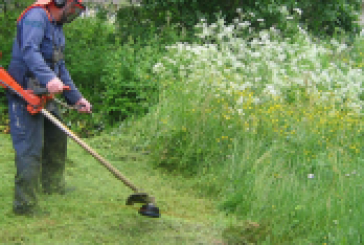 Ordinanza divieto di Sosta dei Veicoli
