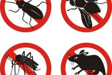 Avviso disifestazione e derattizzazione