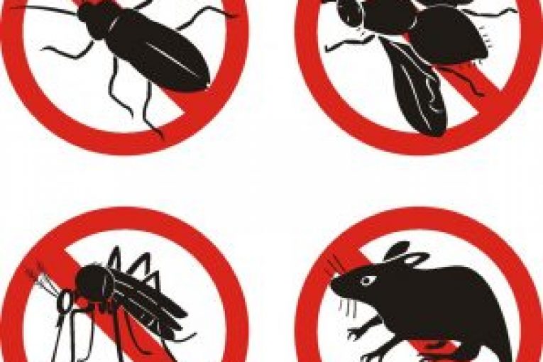 Montescaglioso, AVVISO DISINFESTAZIONE / DERATTIZZAZIONE