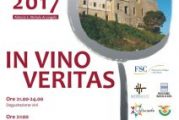Manifestazione In Vino Veritas