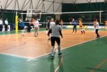 Gallitelli Vending Ko al tie Break