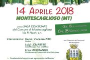 Montescaglioso, incontro informativo Bambù Onlymoso
