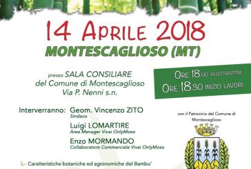 Montescaglioso, incontro informativo Bambù Onlymoso