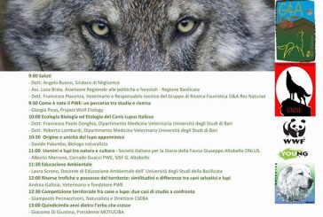 Universitaly Wolf Tour Matera