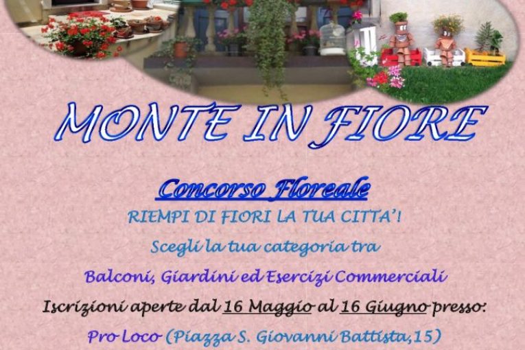 Monte in Fiore 2