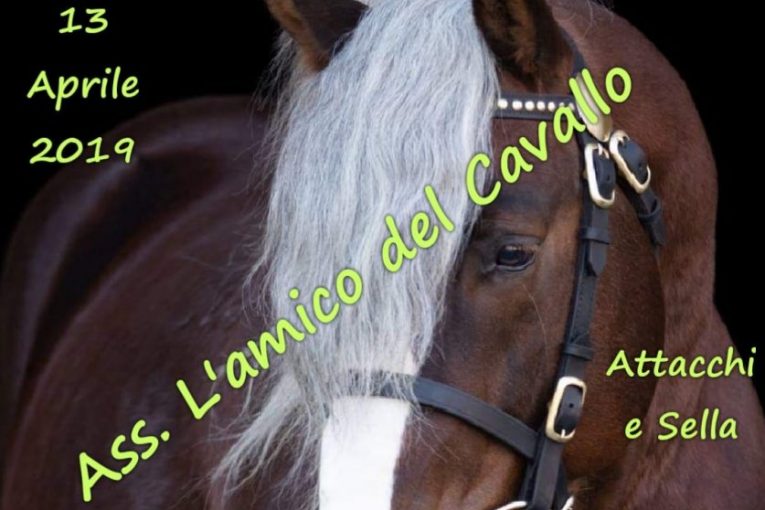 1^ edizione Monte a Cavallo