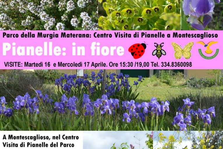 Visita Pianelle nel Parco della Murgia Materana.