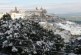 1 aprile 2020 nevicata sulla collina Materana , sorpresa ma nessun problema